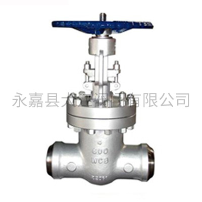 DGV-美標(biāo)焊接閘閥